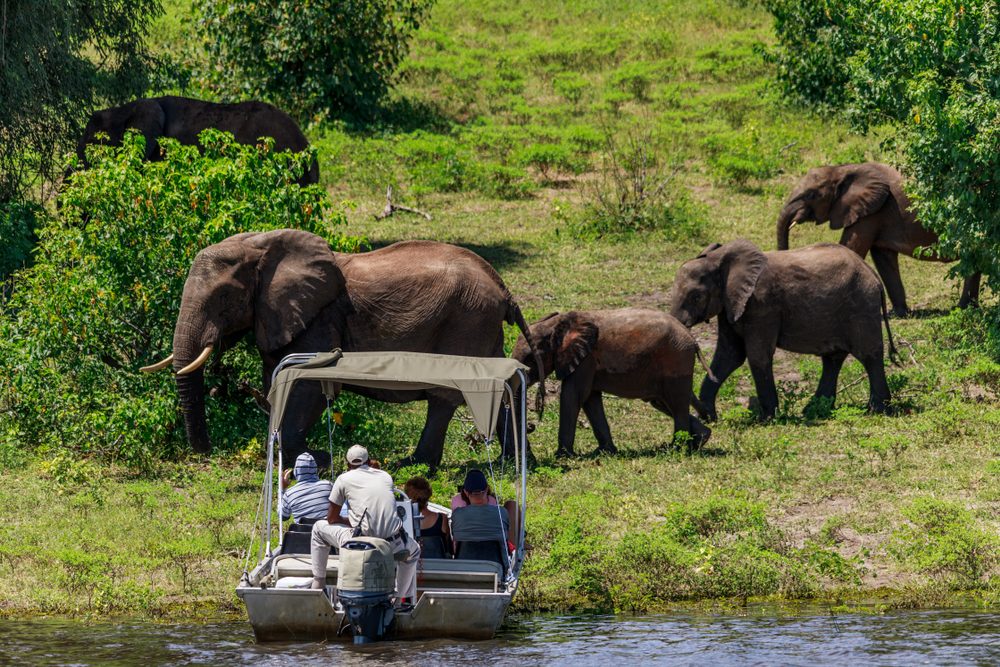Victoria Falls & Chobe Park - 4 Night Package